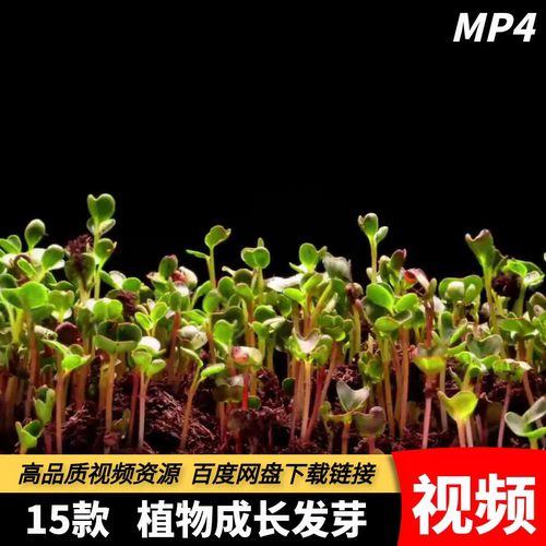 高清MP4绿色植物种子发芽成长小草树木幼苗快速生长破土视频素材