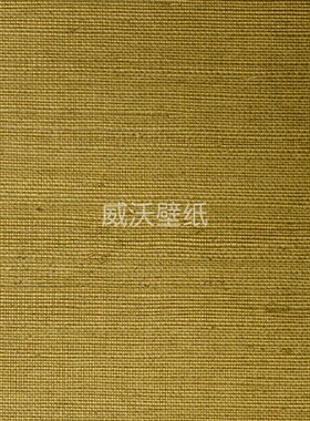 比利时进口ARTE剑麻编织墙纸72745A 72746A 72747A 72748A 72749A