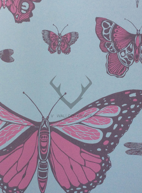 英国进口蝴蝶墙纸壁纸 103-15062 15063 15064 15065 15066 15067