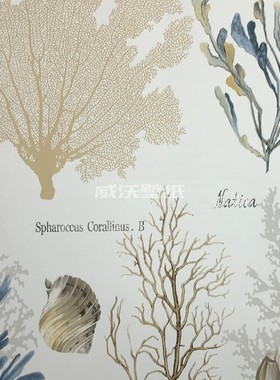 优艺佳 海洋风贝壳海草墙纸壁纸SR11360 11361 11362 11200 11160