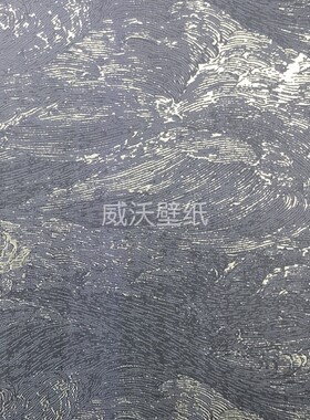 亚饰龙Asero 轻奢风 金箔无缝墙布壁布J1-01-02-03-04-05-06-07