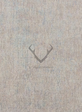 荷兰 BN 进口 素色墙纸壁纸18450 18451 18452 18453 18454 18455