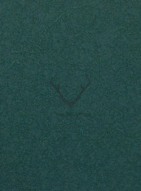 全屋轻奢风无缝墙布壁布 YCN010408 010423 010422 010447 010428