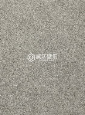 荷兰进口BN质感皮纹墙纸壁纸220500 220501 220502 220503 220504