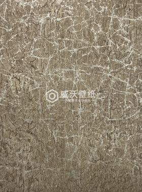 Texture Library 无纺墙纸壁纸SNZ13701 13702 13703 13704 13705