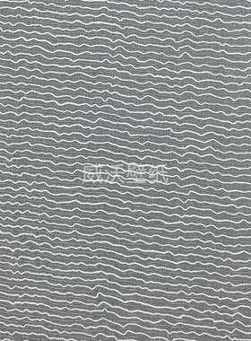 布蕾尼/BRIENNE 丝麻皱墙布壁布G81064 G81065 81066 81067 81068