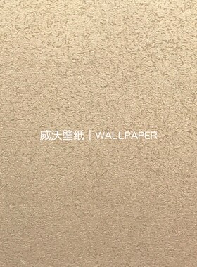 美绮 绮彩8全屋艺术漆肌理素色高级感无缝壁布Q8-401-402-404-405