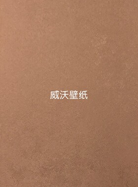 美绮 SPLENDOR全屋高级感无缝墙布WZ477001 477002 477003 477004