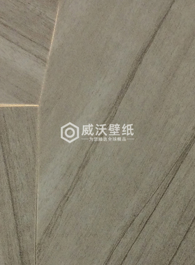 WILDWALK 比利时ARTE轻奢墙纸壁纸28050 28051 28052 28053 28054
