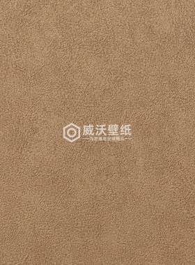 荷兰进口BN质感皮纹墙纸壁纸220505 220506 220507 220508 220509