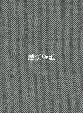 比利时 ARTE 麻点高级感墙纸78000B 78001B 78002B 78003A 78004A