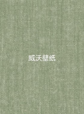 比利时进口ARTE 全屋高级感墙纸78260 78261 78262 78263 78264