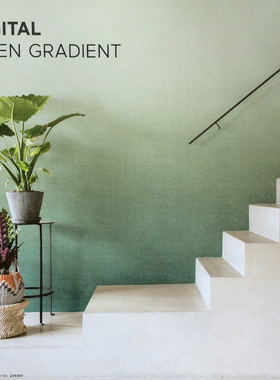 荷兰进口BN 渐变色壁画背景墙纸壁纸200300 200301 200302 200303