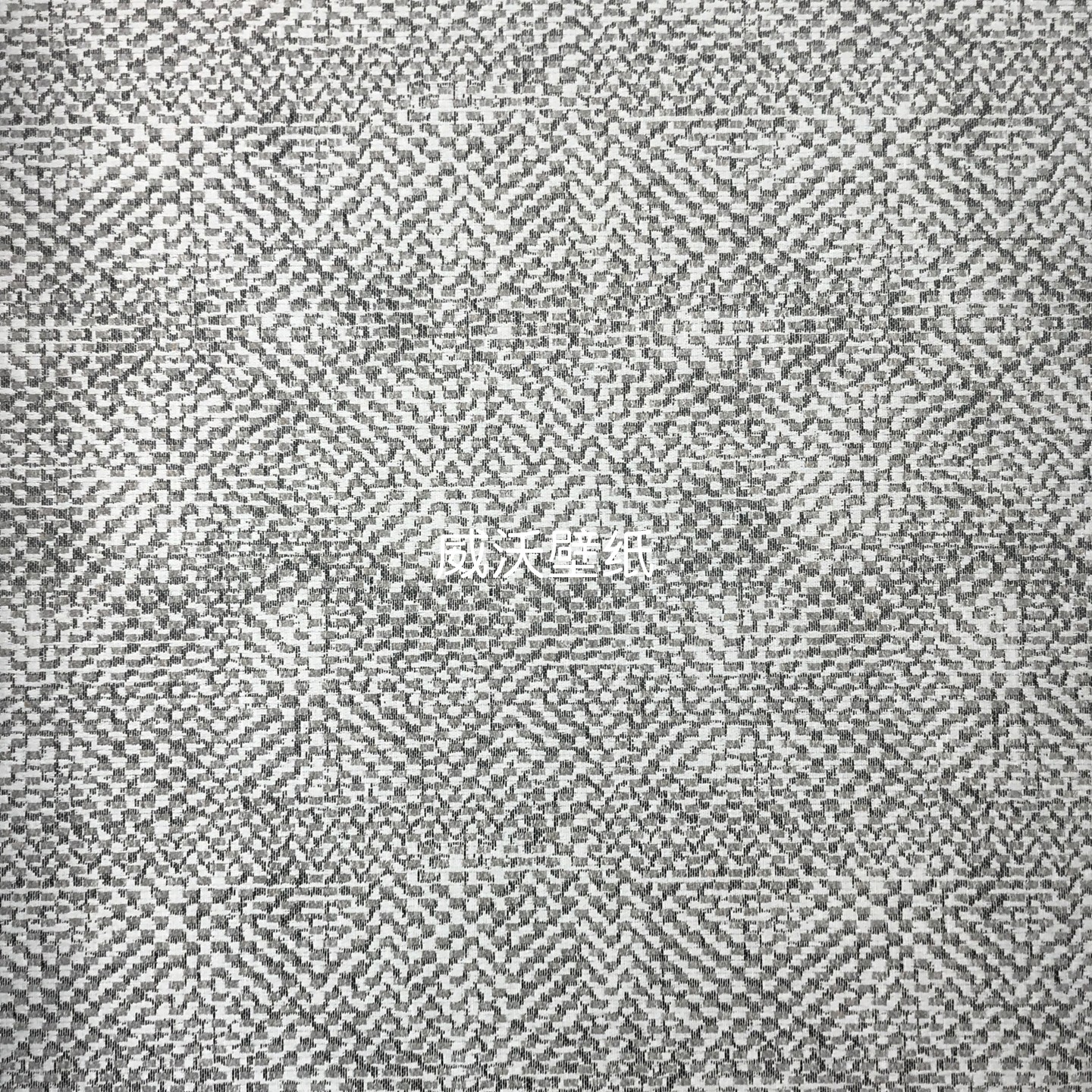 Cadenza新款全屋高级感无缝墙布AF26137 26153 26152 26172 26171