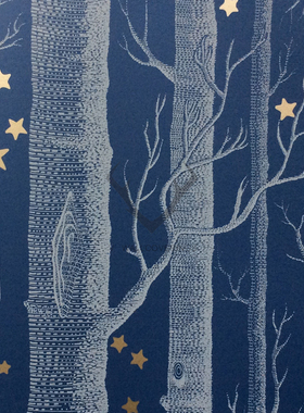 英国CS墙纸壁纸103-11047 11048 11049 11050 11051 11052 11053