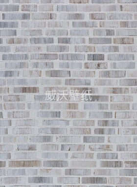 OMEXCO 比利时进口Seraya轻奢金属线编织墙纸壁纸SRA1601 SRA1602