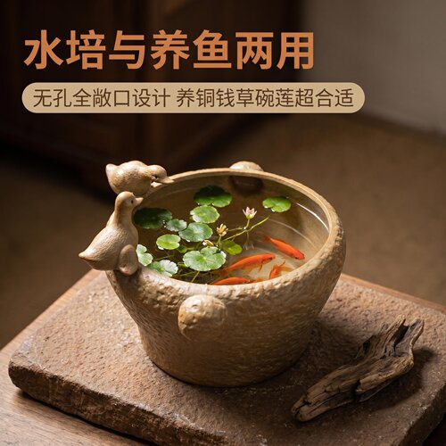 一盆两用养花养鱼都能用小鸭花盆