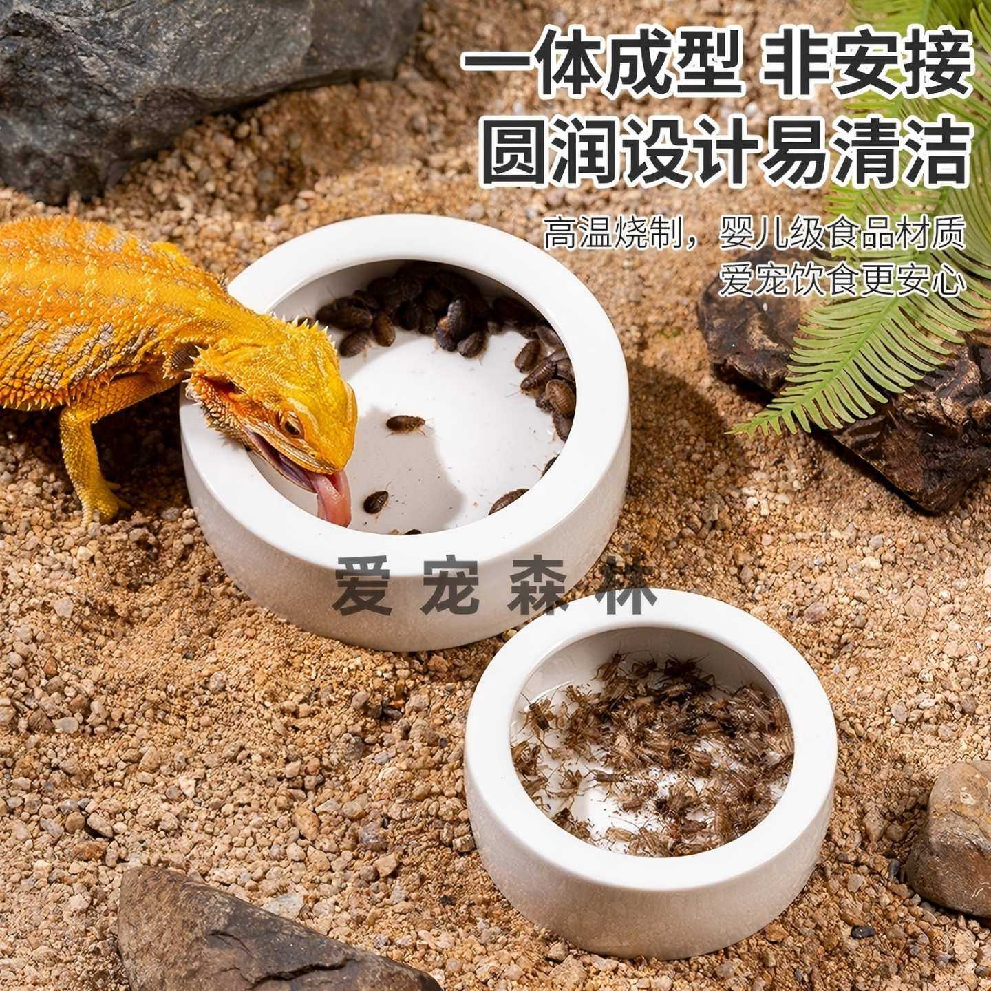 爬宠水盆睫角守宫食盆鬃狮蜥专用蟋蟀面包虫杜比亚蟑螂防逃脱食盆,宠物/宠物食品及用品,爬宠清洁及日用品,淘宝优惠券,粉丝福利购,淘宝优惠卷