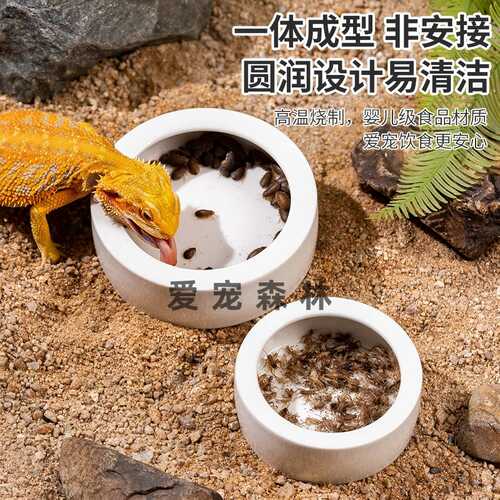 豹纹守宫食盆睫角喂水器陶瓷食盆