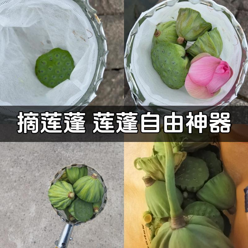 莲蓬采摘神器摘莲蓬神器伸缩杆子莲子荷花采摘器剥打钩子高空采摘
