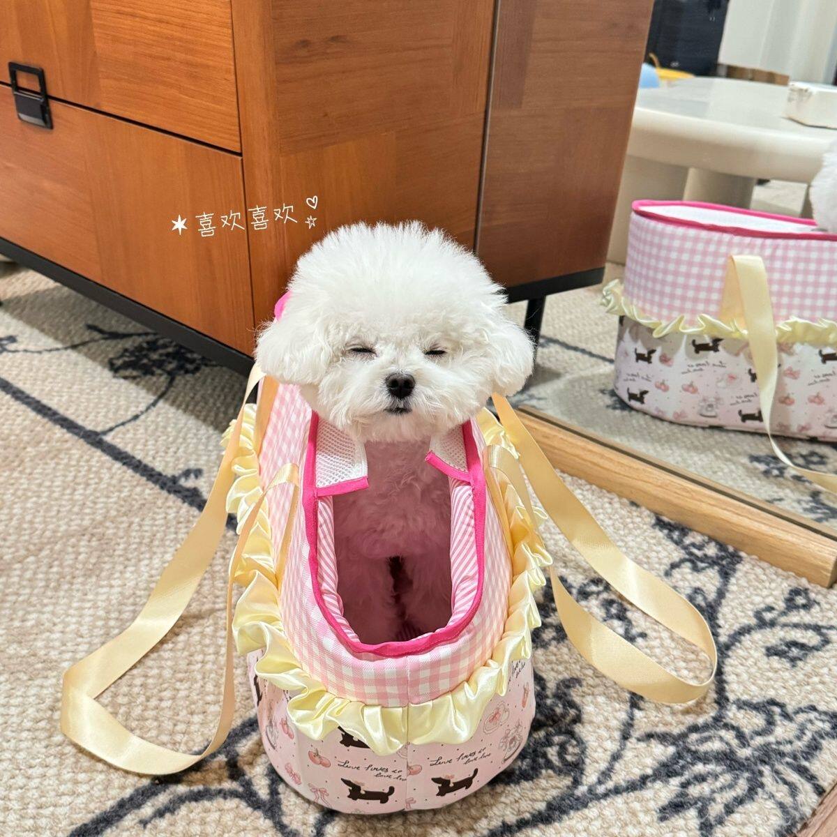 腊肠犬外出包猫宠物手提包小型犬狗狗外出包泰迪马尔济斯手提猫包图片