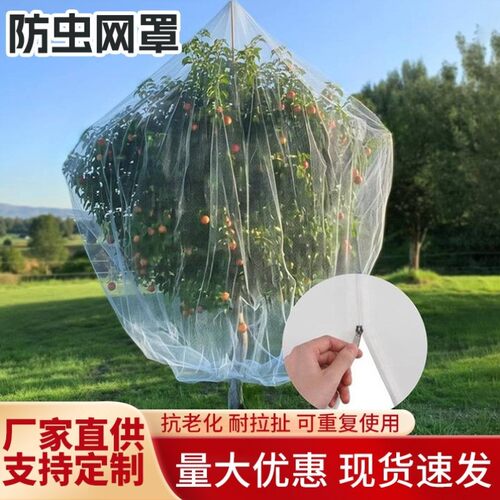 果树鸟防护网新款果树防鸟罩嘉宝果枇杷樱桃蓝莓果园尼龙防护网户