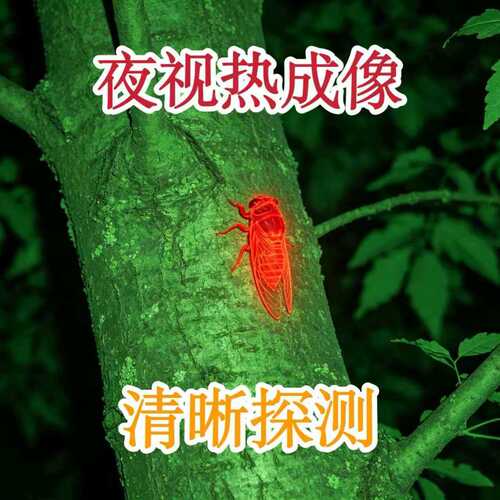 知了专用捕捉器夜间看动物观测红外热成像找知了猴金蝉手持夜视仪