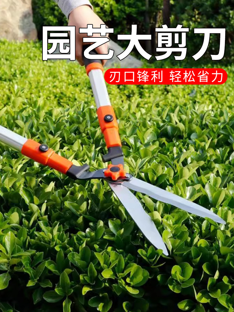 园艺大剪刀果树枝花园草坪修枝剪非德国日本进口园林绿化工具绿篱