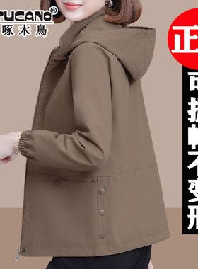 啄木鸟开春外套女春秋2026新款