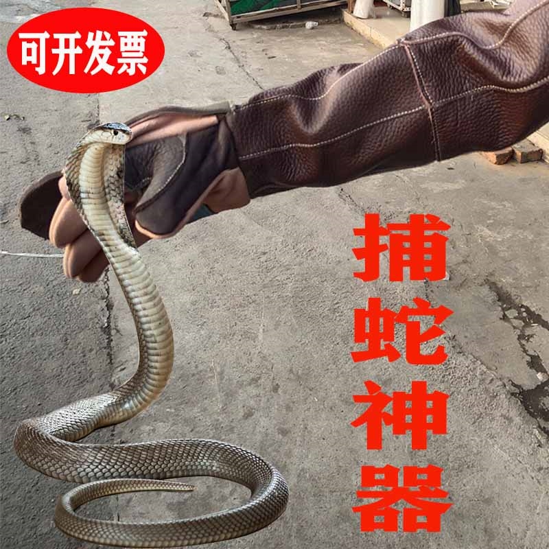 宠物训犬鳄龟眼镜蛇护腿防咬手套