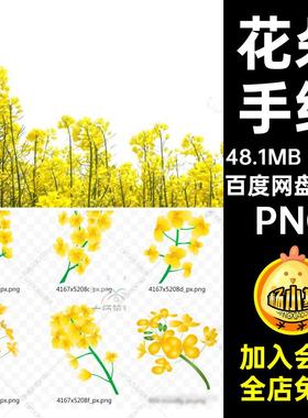 51款卡通元素花卉手绘黄色PNG油菜花扣免平面素材PNG花卉黄色花卉