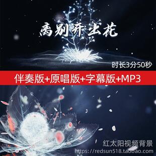 离别开出花歌曲伴奏音频MP3表演舞台舞蹈大屏幕LED背景视频素材