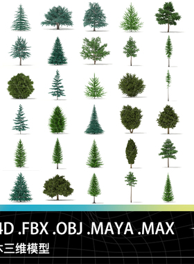 C4D FBX MAYA OBJ植物树木针叶树松树云杉雪松紫衫景观树三维模型