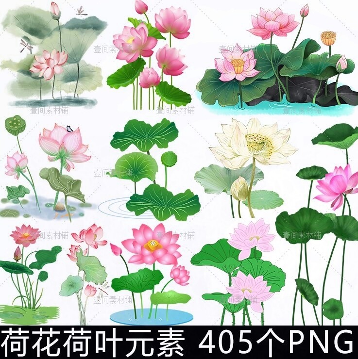 hh2中国风水墨手绘荷花荷叶莲花卉池塘植物图案元素png免抠图素材