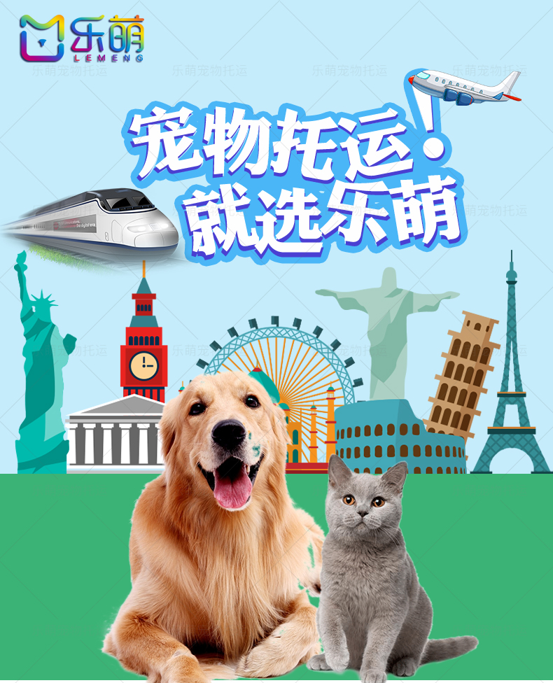 长沙广州深圳上海北京始发航空铁路专车宠物托运猫狗服务 通用型