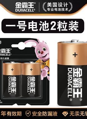 金霸王(Duracell)1号电池大号电池1.5V一号碱性适用煤气燃气灶