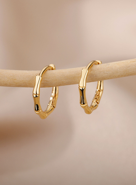 Stainless Steel Bamboo Hoop Earrings For Woman Cute Korean