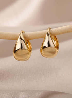 Stainless Steel Chunky Hoop Earrings For Women Friends