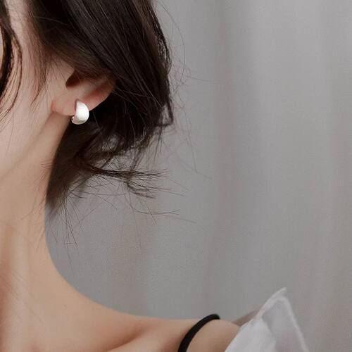 Sterling Silver Frosting Small Stud Earrings For Women
