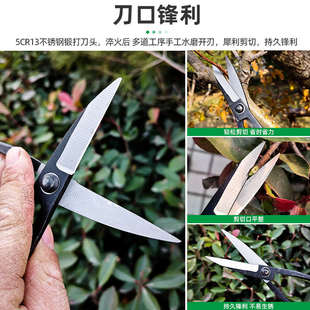 修枝剪园艺叶芽剪刀家用小枝剪盆景园林专用工具专业插花剪花艺剪