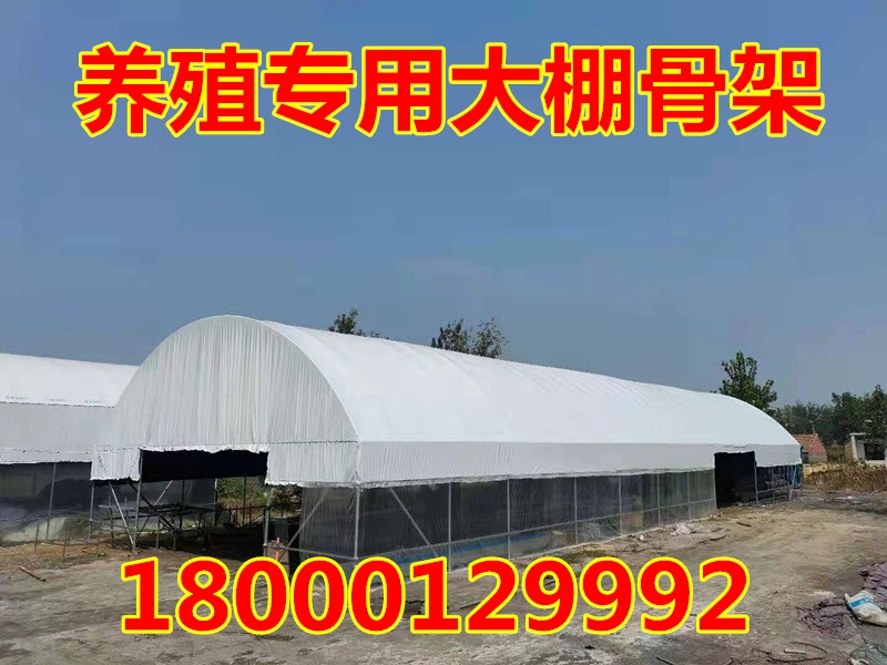 tdoor buildnng fulls set of breediig greenhouse skelet-封面