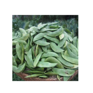 上海崇明岛特产新鲜洋扁豆带壳白扁豆 顺丰江浙沪皖包邮