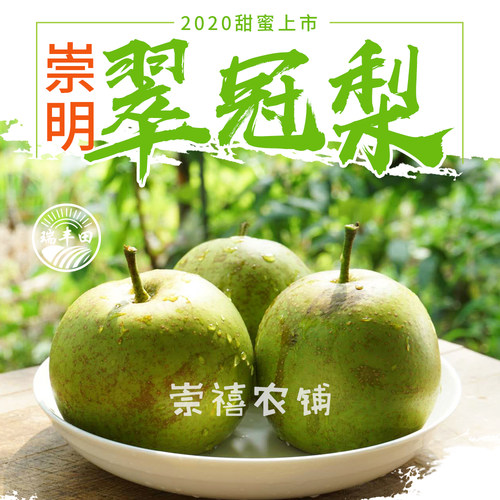 上海蜜梨崇明特产翠玉果园现发