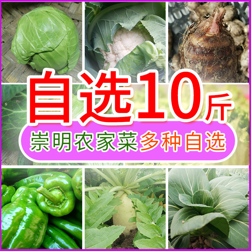 上海崇明各类冬季特产时令蔬菜自选组合装10斤顺丰江浙沪包邮直达