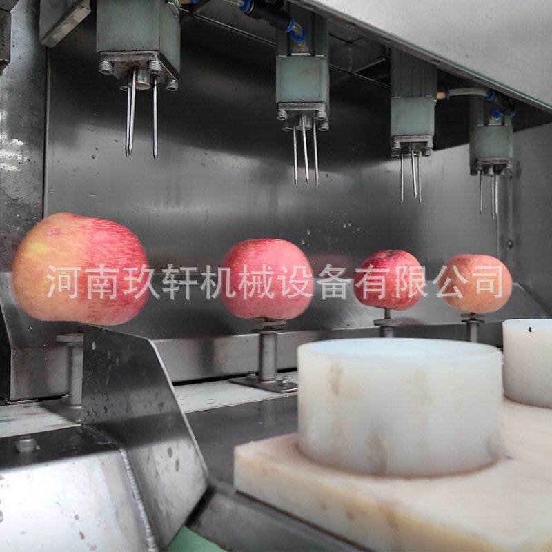 水果自动去皮设备苹果梨子加工削皮去核切片分瓣机