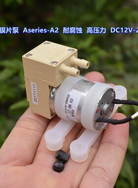 微型膜片泵 Aseries-A2 耐腐蚀 高压力 DC12V-24V 自吸泵 隔膜泵