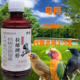 鸟用鹦鹉鸽子八哥防水便画眉鸟肠道护理饮水型