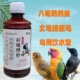 鹦鹉鸽子八哥画眉防水便肠道护理拉烯理停饮水型