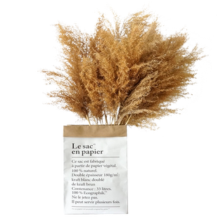 芦苇干花套装ins牛皮纸袋干花花束落地花瓶客厅北欧干花装饰摆件