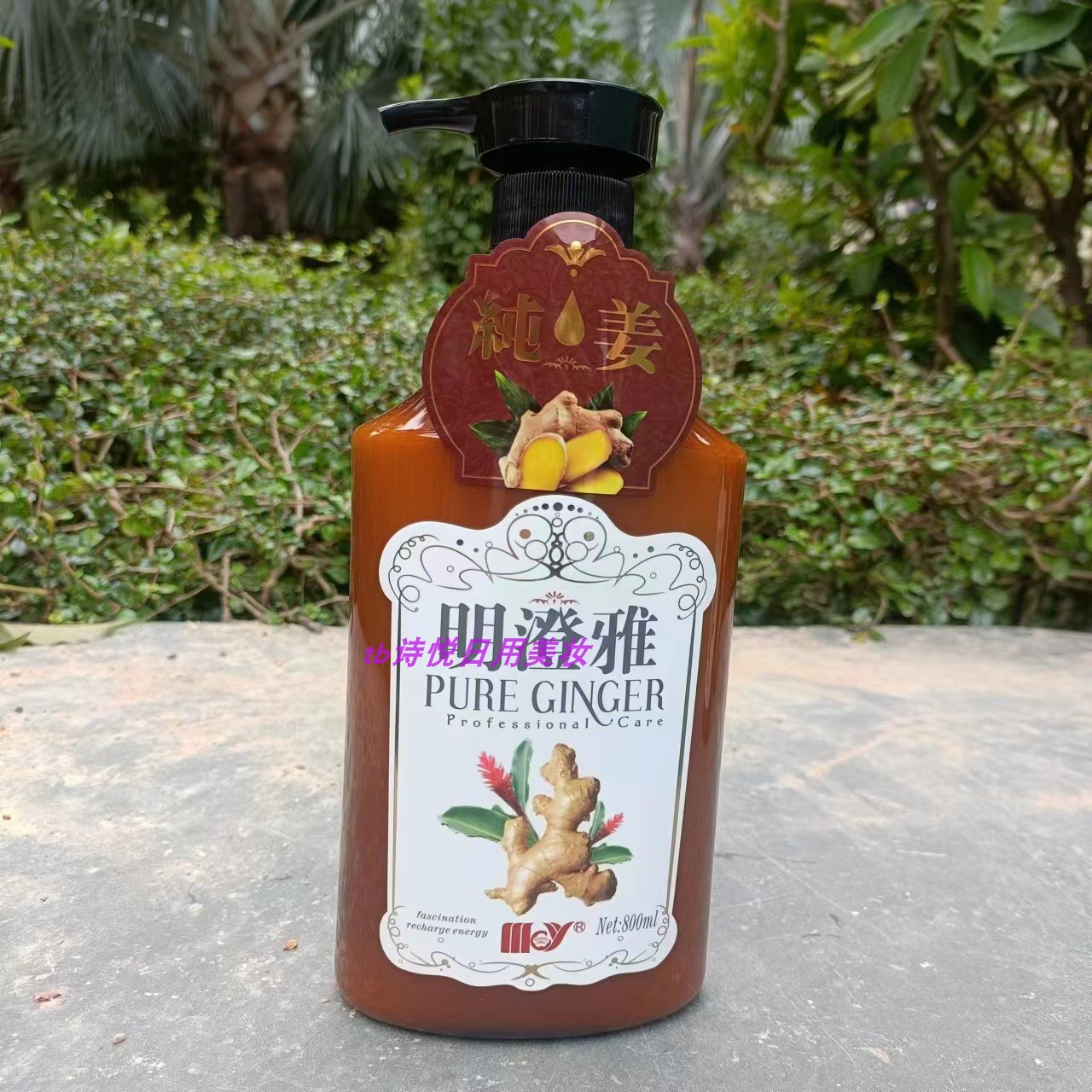 明澄雅纯姜防脱固发修护洗发露800ml 营养滋润改善毛燥去屑柔顺